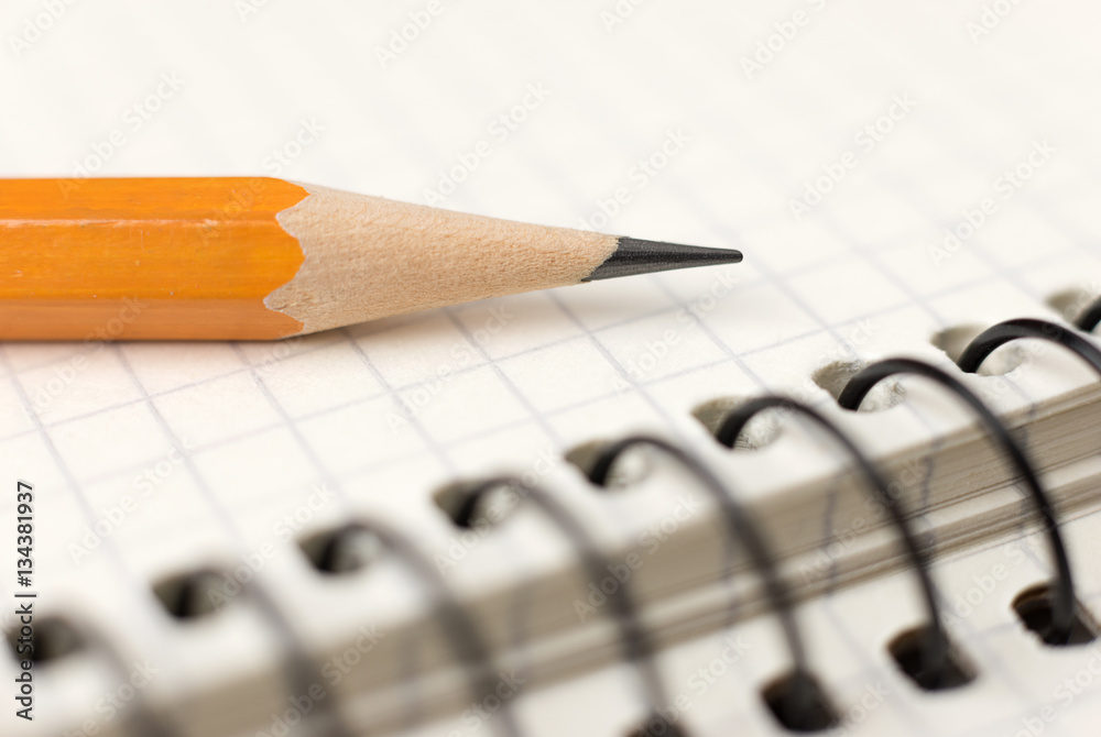 custom made wallpaper toronto digitalPencil on the pages of an open notebook for records