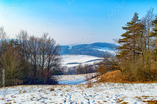 The winter forest landscape in Thuringia, Germany