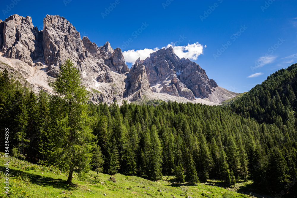 View of Val Venegia in summer with the Pale di San Martino in background. Dolomites, northern Italy. View of Val Venegia in summer with the Pale di San Martino in background. Dolomites, northern Italy.