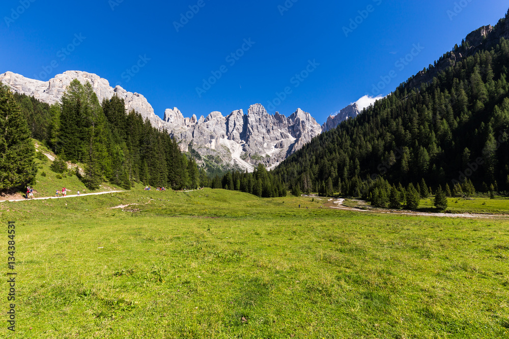 View of Val Venegia in summer with the Pale di San Martino in background. Dolomites, northern Italy.