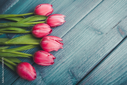 Fototapeta Naklejka Na Ścianę i Meble -  Pink tulips flowers on blue grunge wood.
