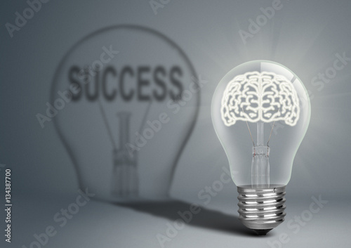 Photos Bulb with brian and shadow with success, idea concept