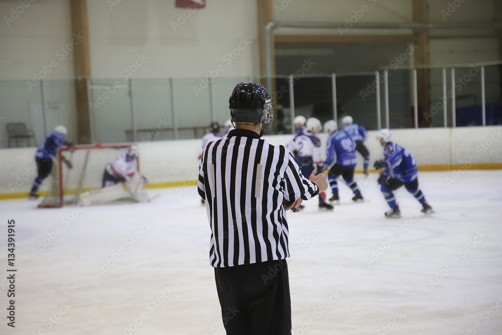 Naklejka premium hockey referee control
