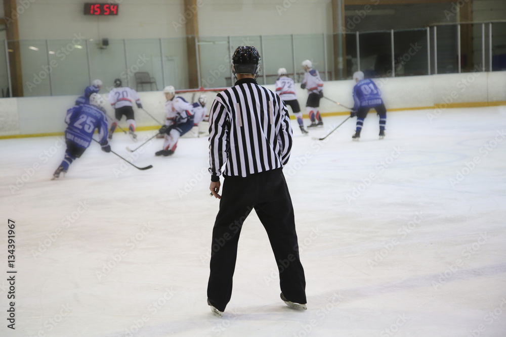 Obraz premium hockey referee control