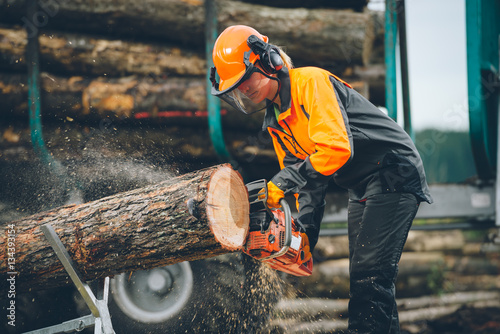 Kettensägen Ausbildung