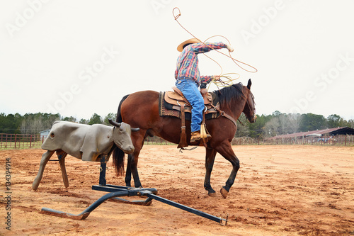 Cowboy in hat, blue jeand and checkered shirt riding horse, throwing lasso and training on bull simulator in ranch. Red clay background. Countryside photo