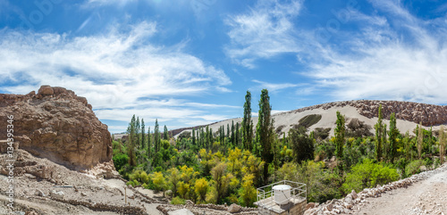 Jerez oasis, Atacama Desert, Chile.