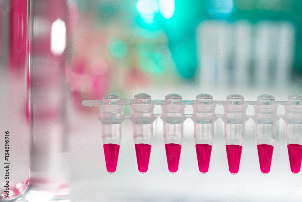 Closeup on plastic tubes for DNA analysis with PCR Closeup on plastic tubes for DNA analysis with PCR