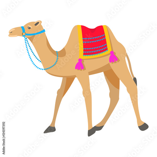 Camel cartoon vector illustration on white. Two-humped desert animal with bridle and saddle.