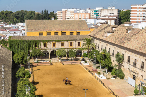 Gardens at the Alcazar in Cordoba photo