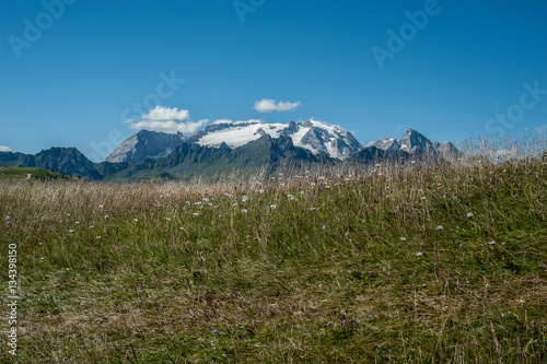 prato d'alpeggio marmolada 