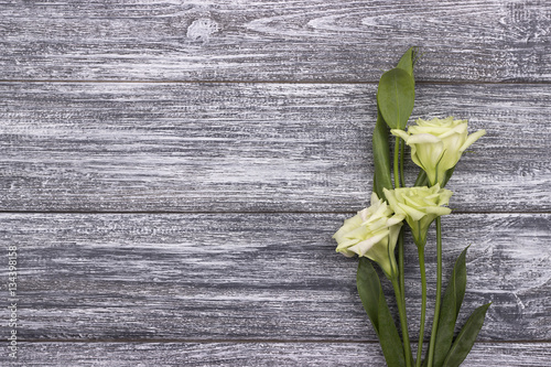 White flowers on a gray wooden background. Valentine day.Wedding.Greeting card.