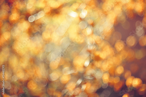 Abstract background autumn season