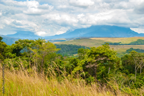 View of Table Mountains Roraima and Kukenan in Great Savanna National Park  Venezuela 