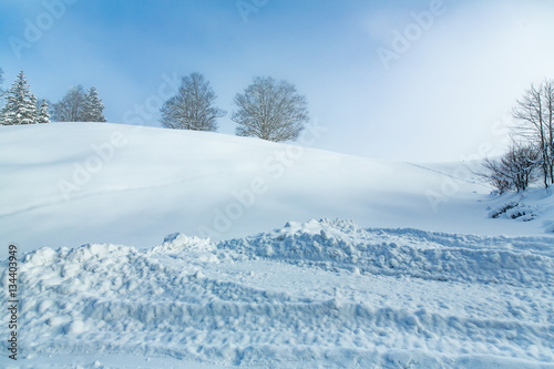 Fototapeta Naklejka Na Ścianę i Meble -  snow