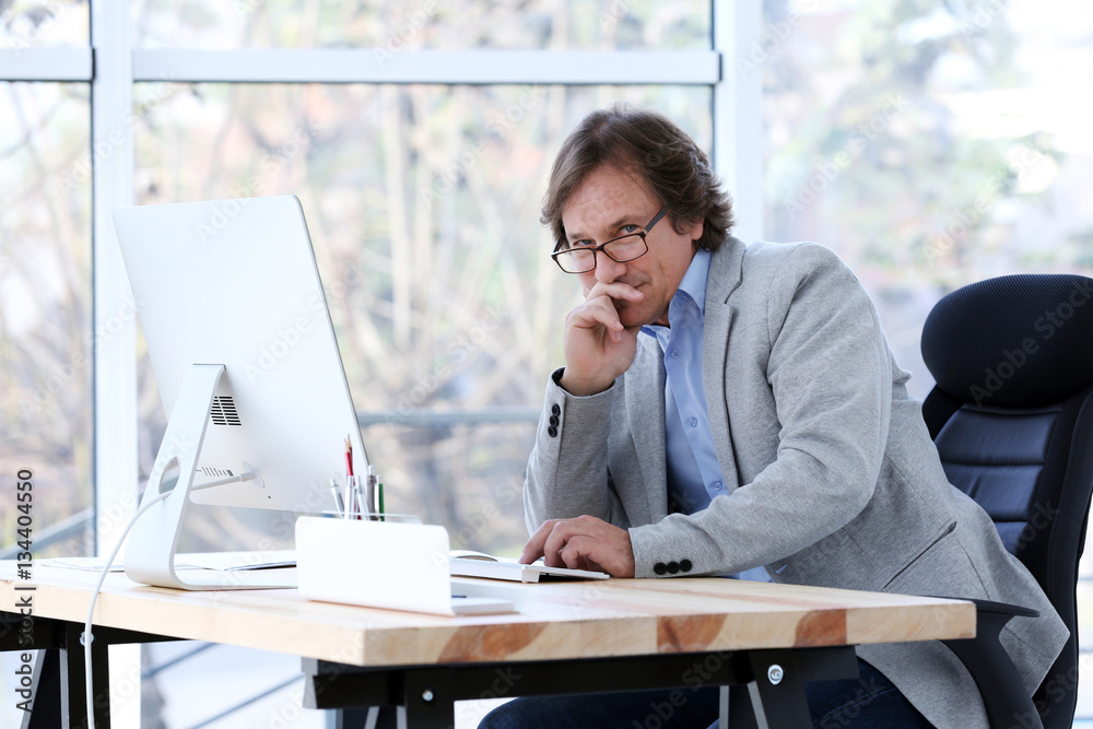 Successful mature man working with computer in office Successful mature man working with computer in office