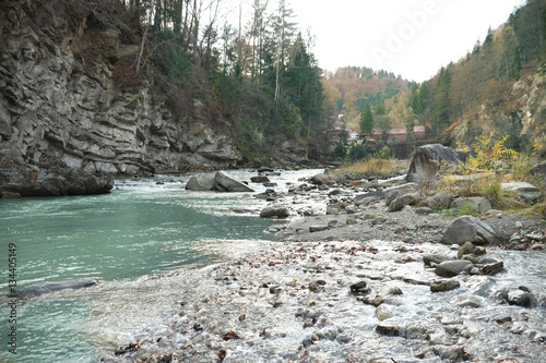 Carpathian forest stream