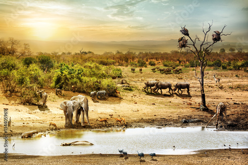 South African Safari Wildlife Fantasy Scene