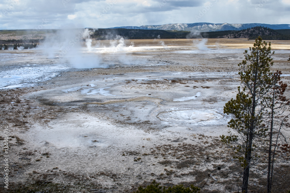 steam rising from volcanic vents in yellowstone