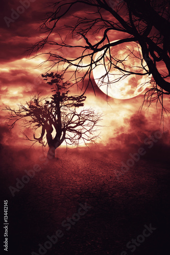 Spooky Tree Dark Night 