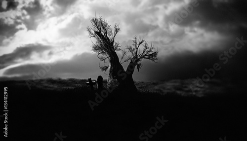 Dark Horror  Halloween gravestone  spooky tree 