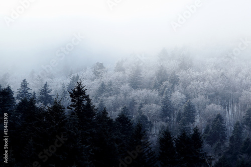 Fototapeta Naklejka Na Ścianę i Meble -  Zimowy krajobraz Bieszczadów