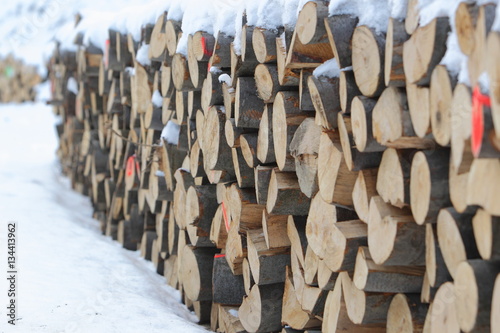 Skład drewna w Bieszczadach