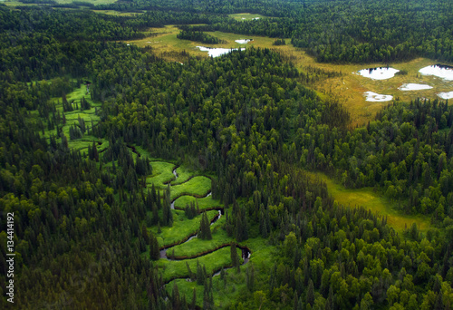 Meandering river and lakes among spruce trees in central Alaska