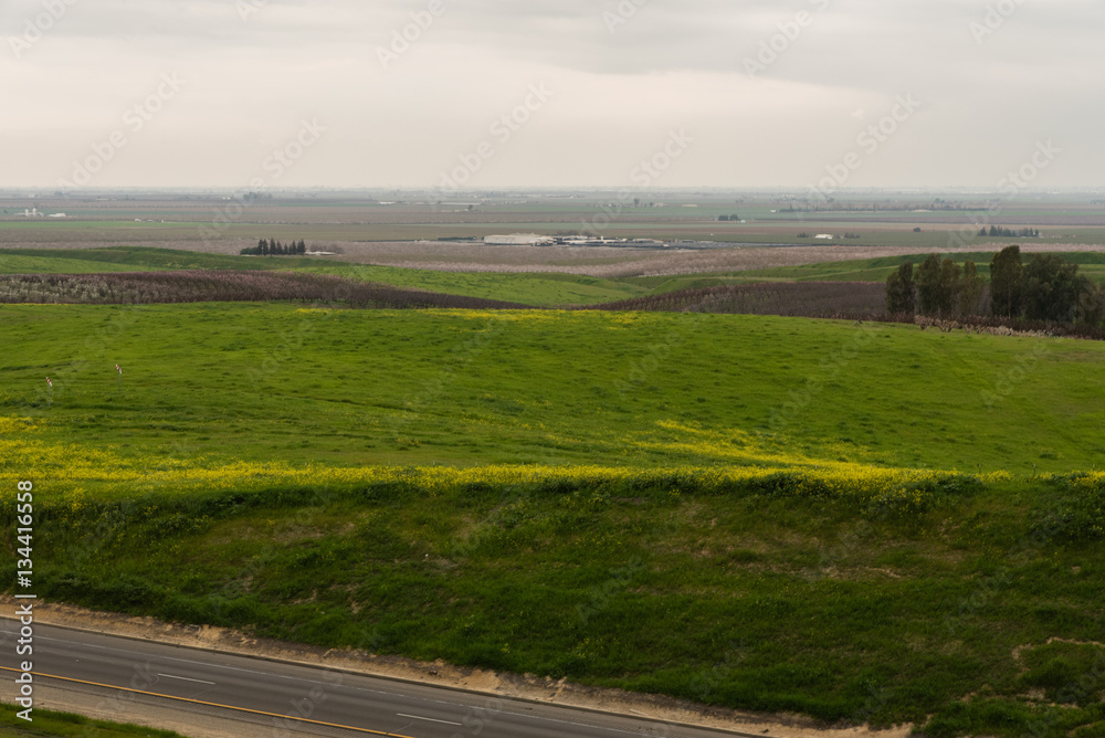 San Joaquin Valley in early spring