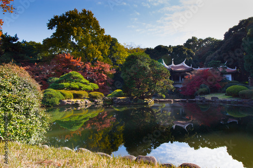 Φωτογραφία Japanese dojo in autumn