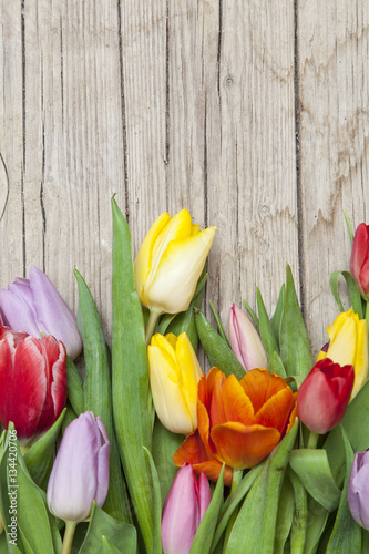 Frische bunte Tulpen vor einem Holzhintergrund