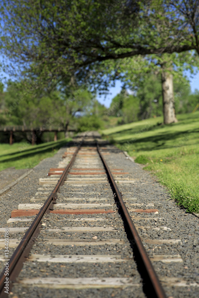 Train Track at the park