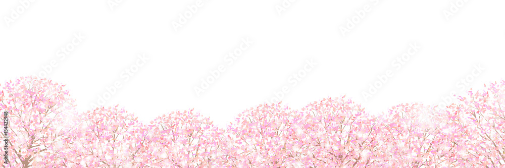 Obraz premium 桜 春 花 背景