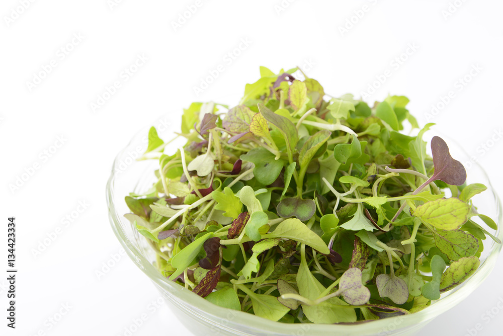 新鮮な野菜 新鮮な野菜