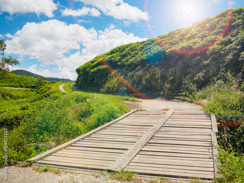 small wooden bridge in tea farm at Cameron Highlands with Lens Flare or sunspot