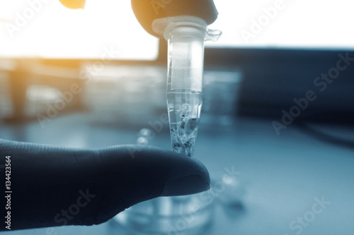 Quadro em tela scientist hand holding laboratory test tube with soft focus