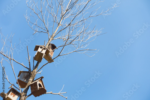 Tenement wooden houses for birds