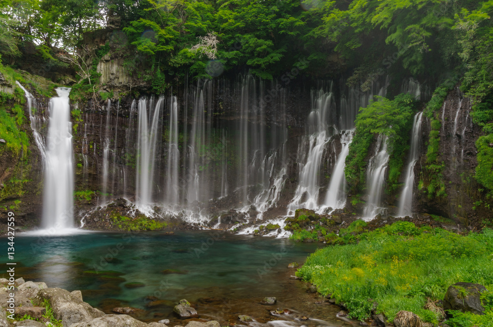 japanese landscape - shiraito no taki - fujinomiya - shizuoka