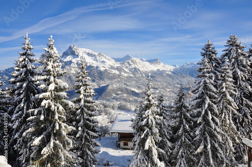 Combloux Alps winter landscape in France 