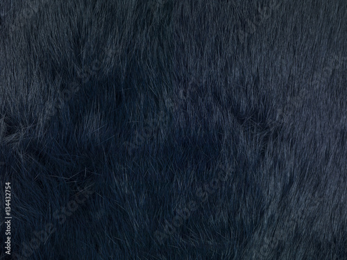  black fur background