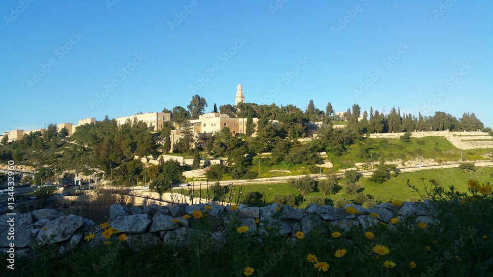 Jerusalem View on Mount of Olives