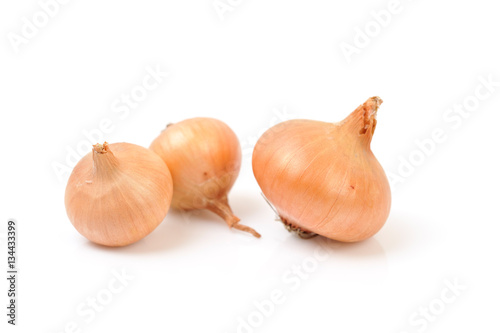 Onions isolated on white. 
