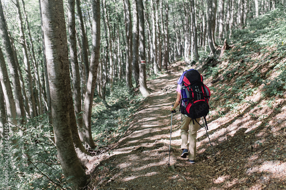 Hiker woman with backpack on marked forest trail in the woods Hiker woman with backpack on marked forest trail in the woods