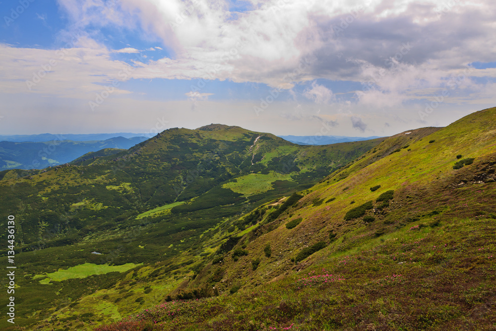 Fototapeta premium Beautiful views of summer Carpathian