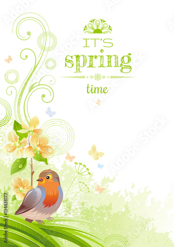 Spring nature vector poster isolated white background, robin bird, cherry blossom. Happy Easter, Birthday, Wedding, Mother day watercolor holiday border pattern. Floral abstract illustration template.