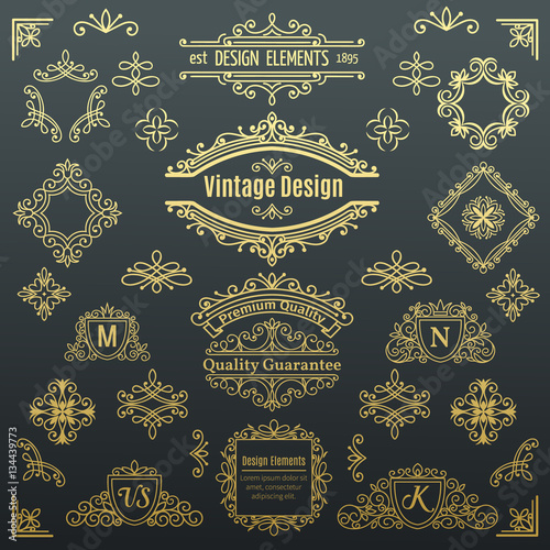 Set of vintage vector line elements .