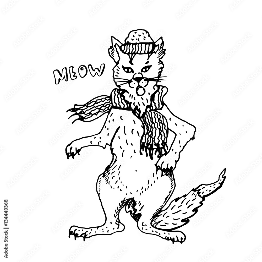 Hand drawn cute winter cat in the hat and scarf. Hand drawn cute winter cat in the hat and scarf.