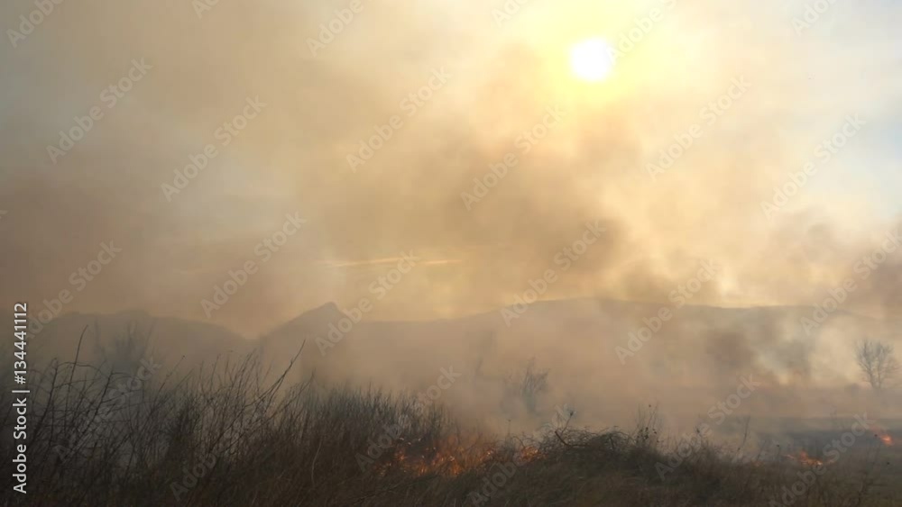 Fire and Smoke, dry grass is burning Fire and Smoke, dry grass is burning