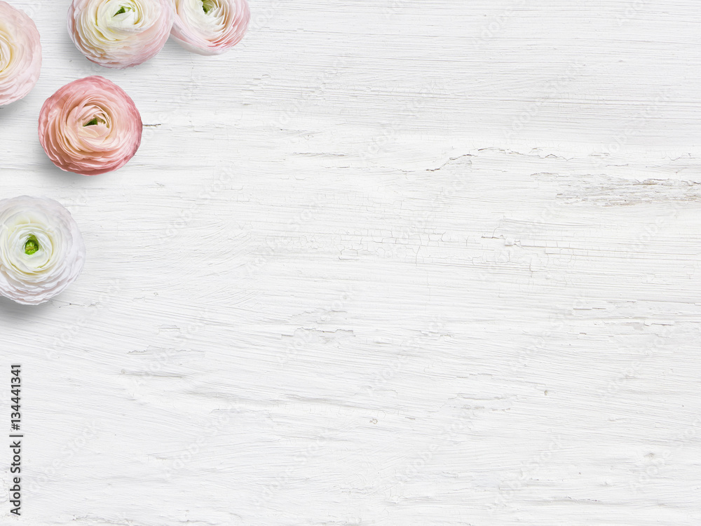 Styled stock photo. Feminine desktop mockup with buttercup flowers, Ranunculus, empty space and shabby white background. Top view. Picture for blog or social media. - obrazy, fototapety, plakaty 