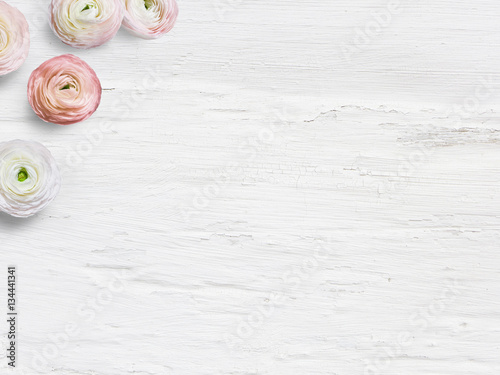 Styled stock photo. Feminine desktop mockup with buttercup flowers, Ranunculus, empty space and shabby white background. Top view. Picture for blog or social media.